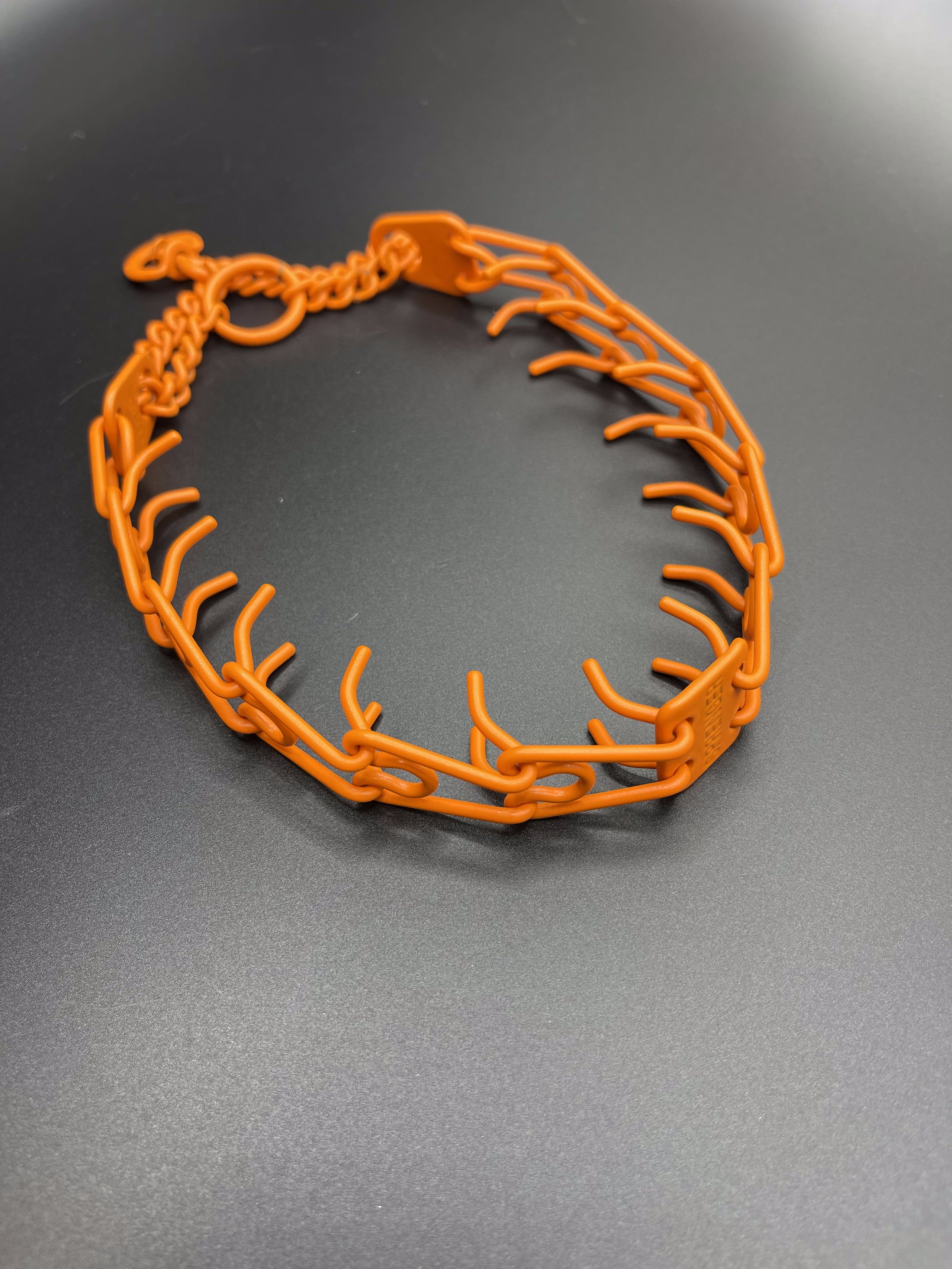 Colored prong collar new arrivals