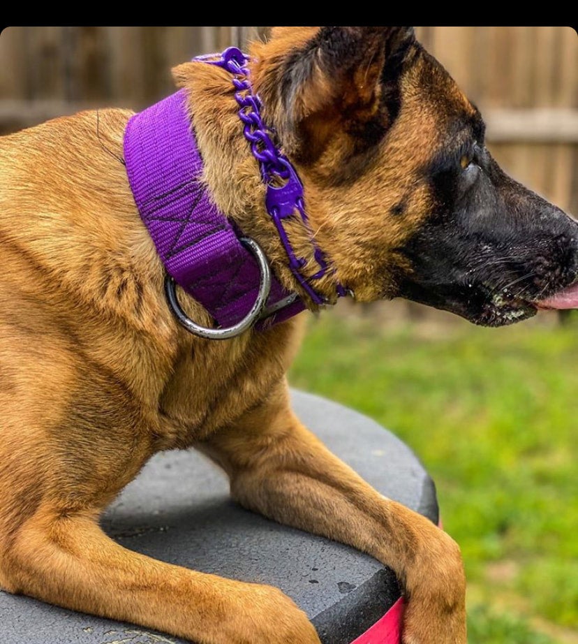 Purple prong collar top