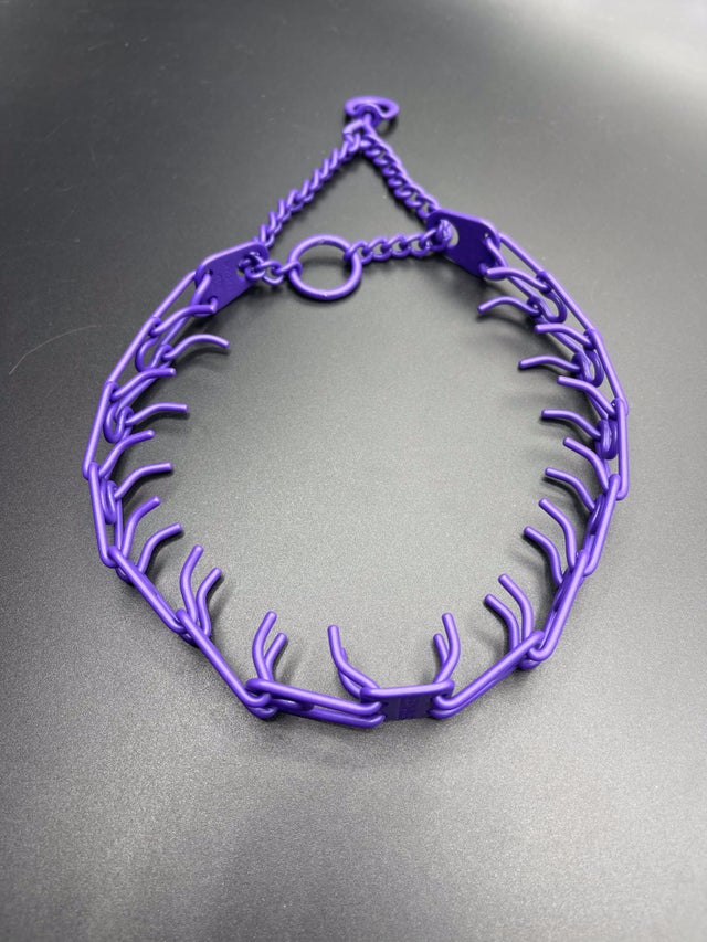 Blue prong collar new arrivals
